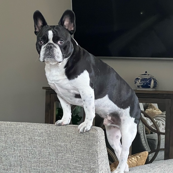 Hi. I’m Kristen💋 - Picture 2 of 5